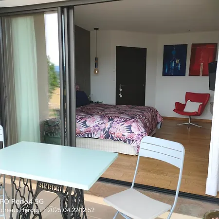 Contemporaine Avec Jacuzzi Et Vue Imprenable Villa Bédarieux