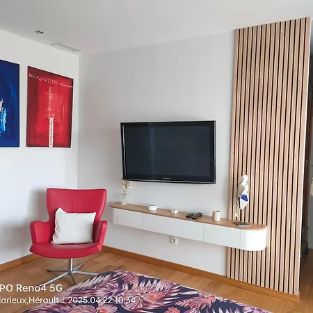 Contemporaine Avec Jacuzzi Et Vue Imprenable Bédarieux